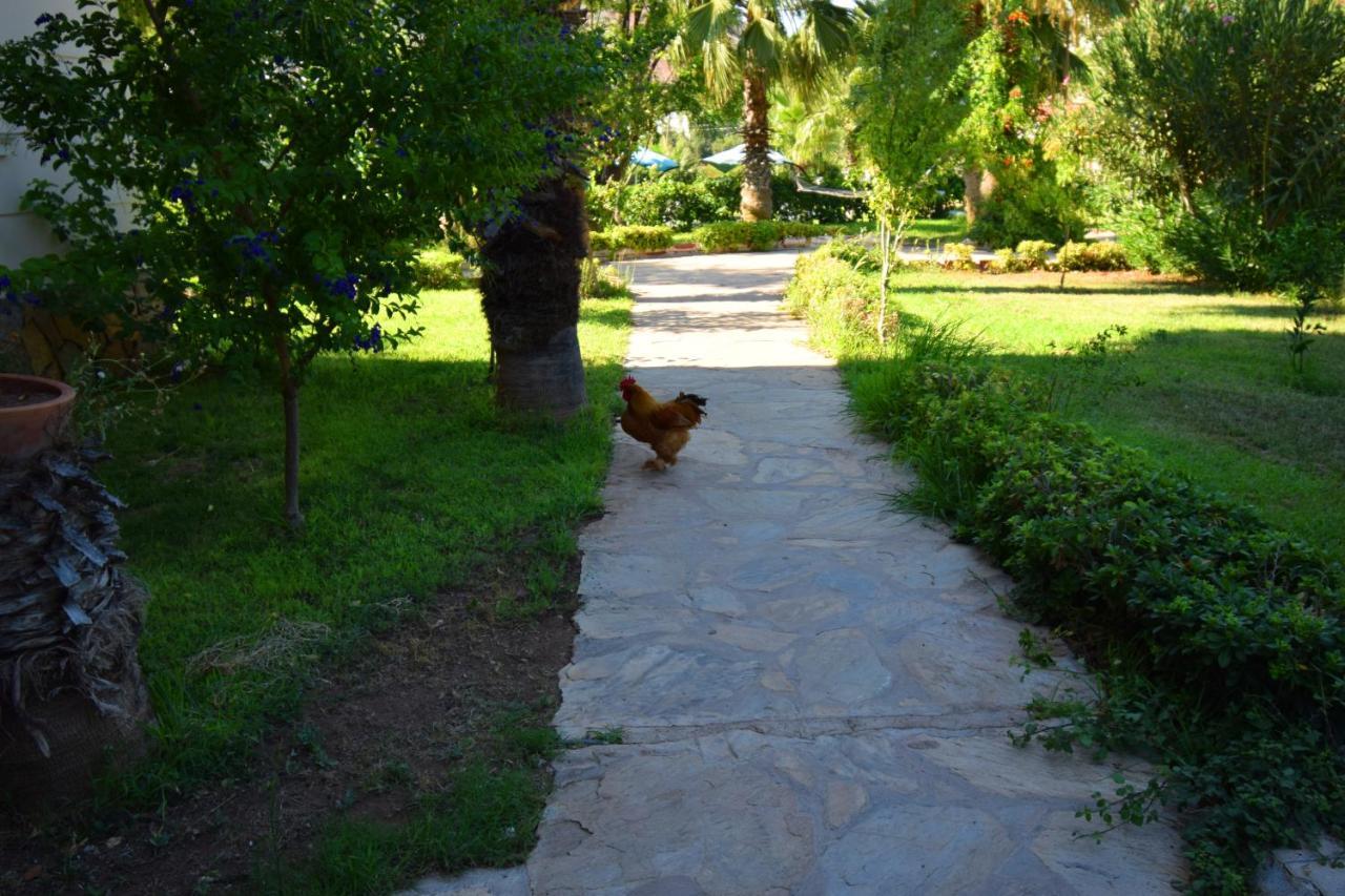 Hotel Adrasan Beach Club Antalya Exterior foto